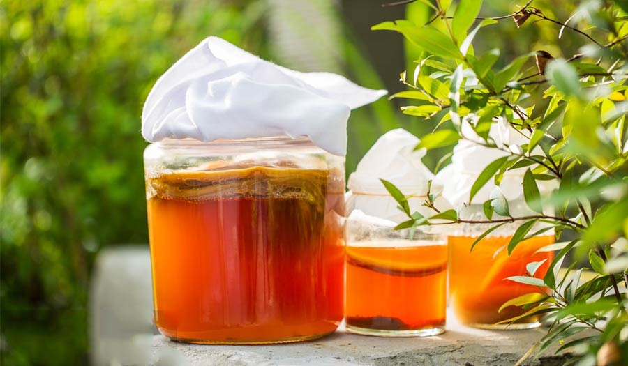 Kombucha Commercial Brewing Equipment: Complete Buyer’s Guide 18 Kombucha